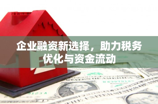仁寿企业融资新选择，助力税务优化与资金流动
