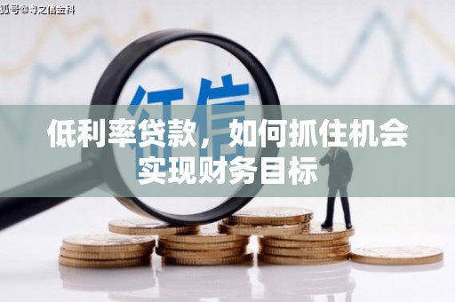 仁寿低利率贷款，如何抓住机会实现财务目标