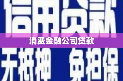 仁寿消费金融公司贷款