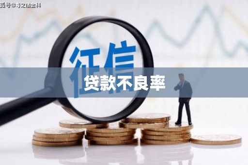仁寿贷款不良率