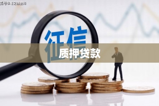 仁寿质押贷款