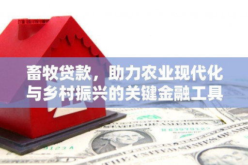 仁寿畜牧贷款，助力农业现代化与乡村振兴的关键金融工具