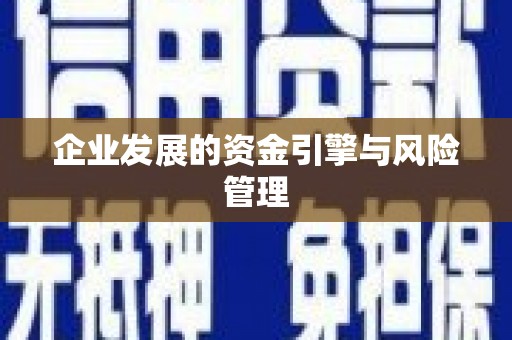 仁寿企业发展的资金引擎与风险管理