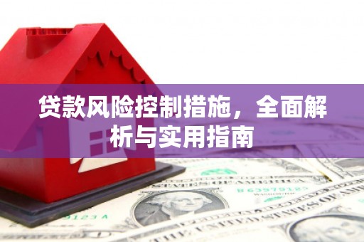 仁寿贷款风险控制措施，全面解析与实用指南