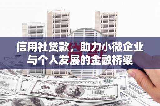 仁寿信用社贷款，助力小微企业与个人发展的金融桥梁