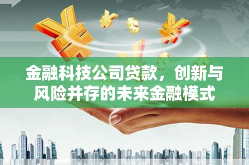 仁寿金融科技公司贷款，创新与风险并存的未来金融模式