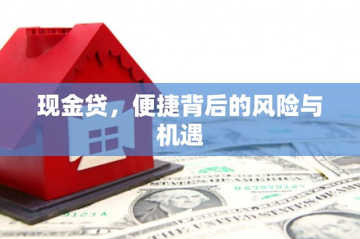 仁寿现金贷，便捷背后的风险与机遇