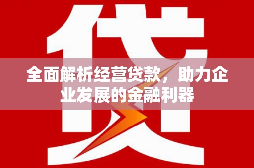 仁寿全面解析经营贷款，助力企业发展的金融利器