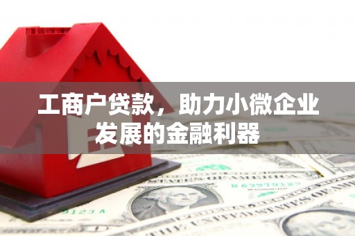仁寿工商户贷款，助力小微企业发展的金融利器