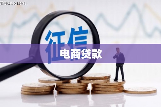 仁寿电商贷款