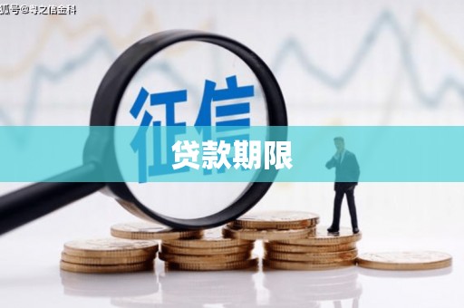 仁寿贷款期限