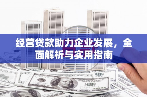 仁寿经营贷款助力企业发展，全面解析与实用指南