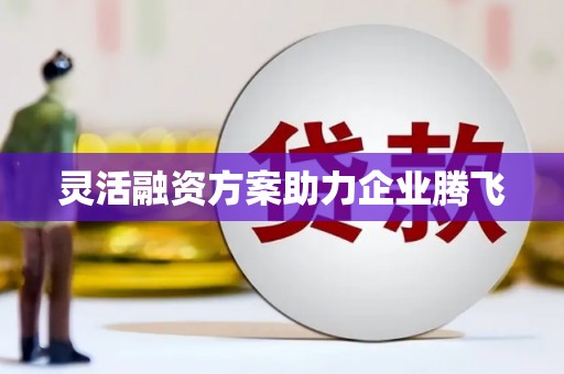 仁寿灵活融资方案助力企业腾飞