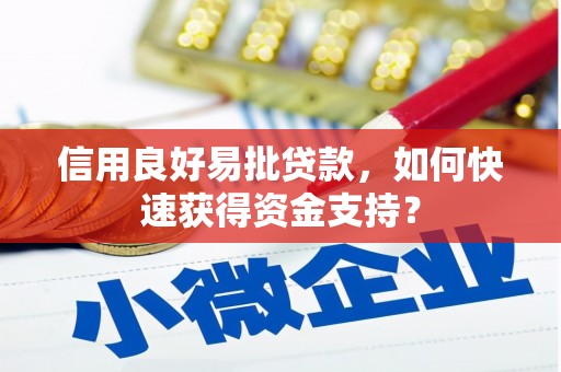 仁寿信用良好易批贷款，如何快速获得资金支持？
