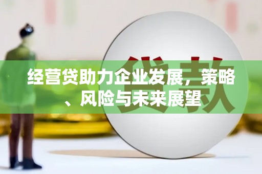 仁寿经营贷助力企业发展，策略、风险与未来展望