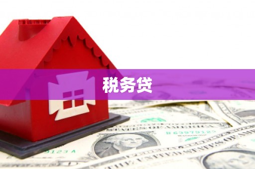 仁寿税务贷