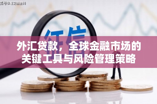 仁寿外汇贷款，全球金融市场的关键工具与风险管理策略