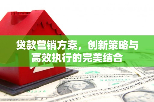 仁寿贷款营销方案，创新策略与高效执行的完美结合