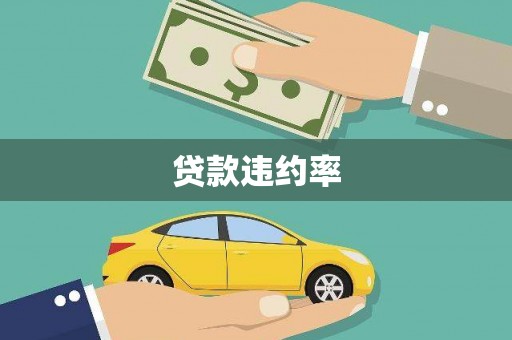 仁寿贷款违约率