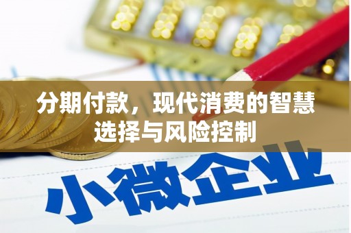 仁寿分期付款，现代消费的智慧选择与风险控制