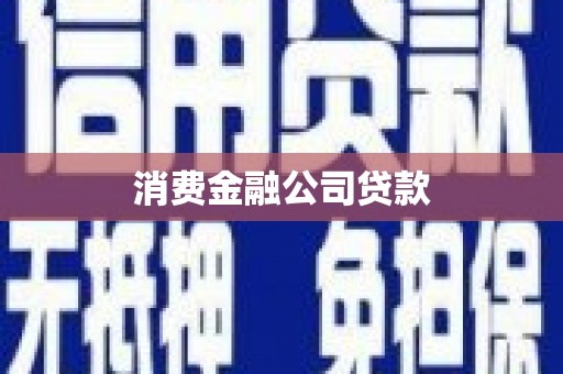 仁寿消费金融公司贷款