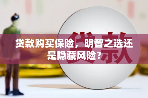 仁寿贷款购买保险，明智之选还是隐藏风险？