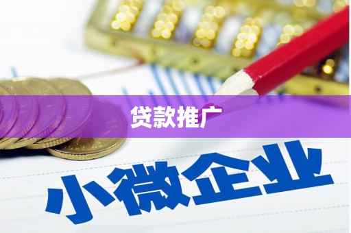 仁寿贷款推广