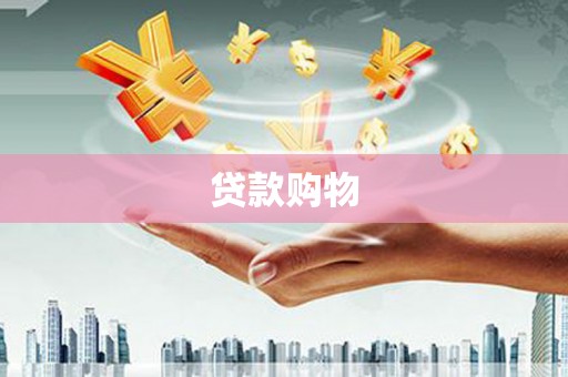 仁寿贷款购物