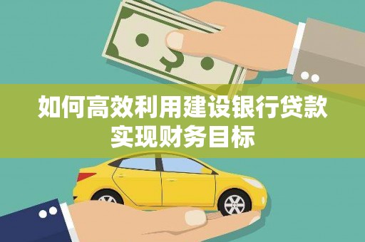 仁寿如何高效利用建设银行贷款实现财务目标