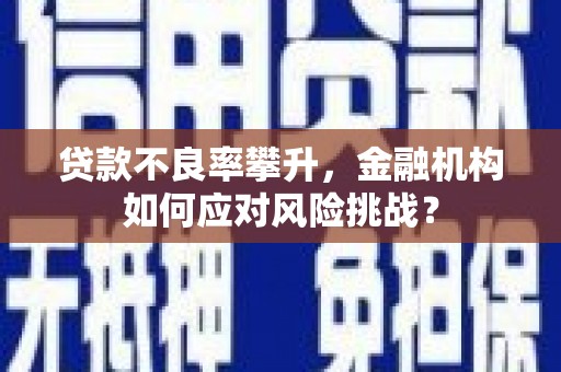 仁寿贷款不良率攀升，金融机构如何应对风险挑战？