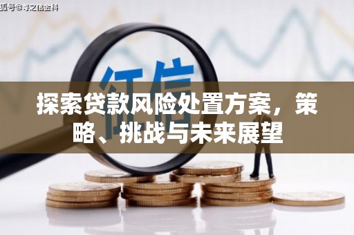 仁寿探索贷款风险处置方案，策略、挑战与未来展望