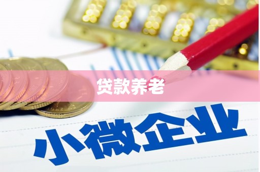 仁寿贷款养老