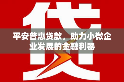 仁寿平安普惠贷款，助力小微企业发展的金融利器