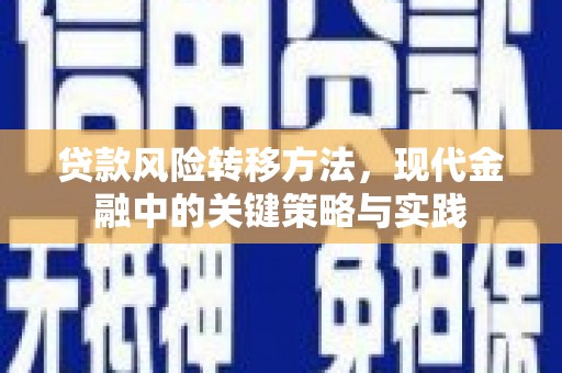 仁寿贷款风险转移方法，现代金融中的关键策略与实践