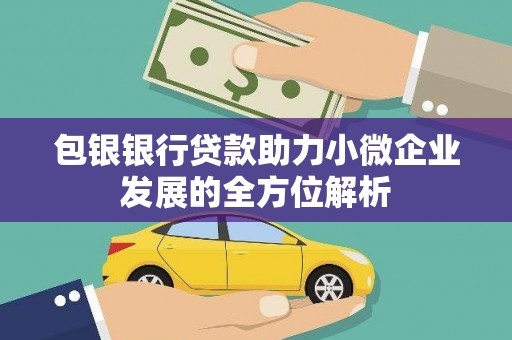 仁寿包银银行贷款助力小微企业发展的全方位解析