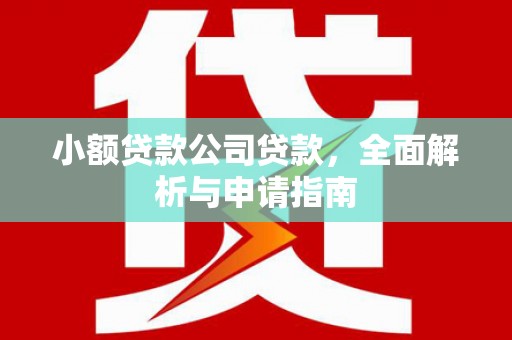 仁寿小额贷款公司贷款，全面解析与申请指南