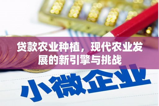 仁寿贷款农业种植，现代农业发展的新引擎与挑战