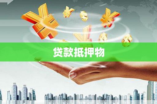 仁寿贷款抵押物