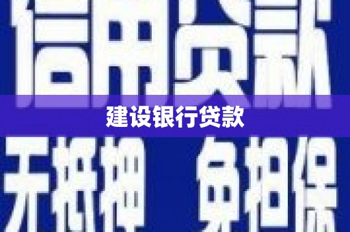 仁寿建设银行贷款