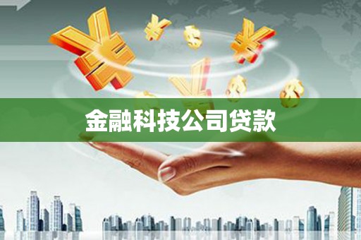 仁寿金融科技公司贷款