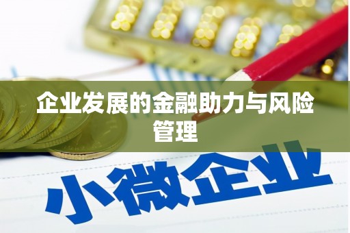 仁寿企业发展的金融助力与风险管理