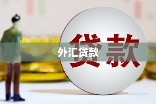 仁寿外汇贷款