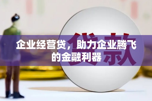 仁寿企业经营贷，助力企业腾飞的金融利器