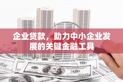仁寿企业贷款，助力中小企业发展的关键金融工具