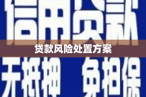 仁寿贷款风险处置方案