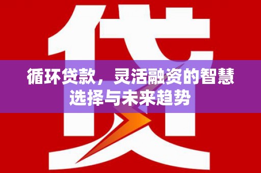 仁寿循环贷款，灵活融资的智慧选择与未来趋势