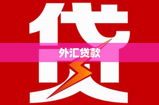 仁寿外汇贷款