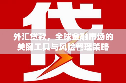 仁寿外汇贷款，全球金融市场的关键工具与风险管理策略