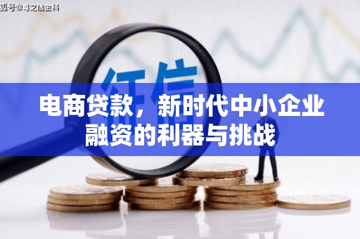 仁寿电商贷款，新时代中小企业融资的利器与挑战