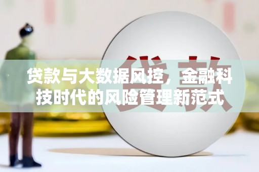 仁寿贷款与大数据风控，金融科技时代的风险管理新范式